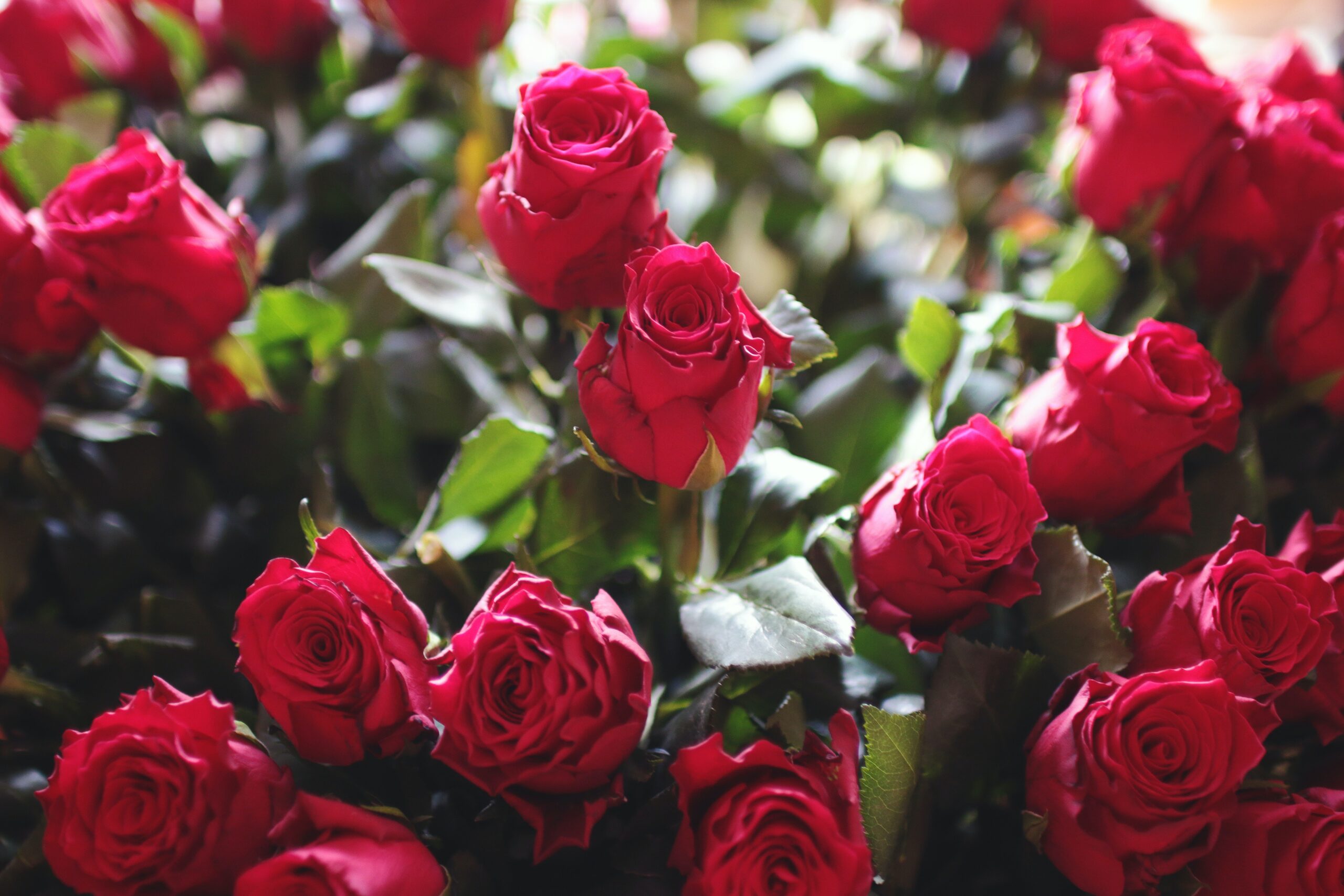 romantique